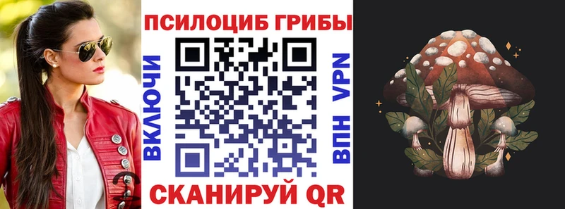 купить наркоту  Верея  Галлюциногенные грибы Magic Shrooms 